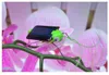New Solar Grasshopper Simulation insect creative trick science and education Enlightenment puzzle children Toy Factory Sales