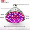 E27 LED Grow Light 6W 10W 30W 50W 80W Tam Spektrum LEDS Işıkları 85-265V Kapalı Bahçe Bitkileri için LED ampuller Çiçek