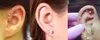 Earrings Tragus Cartilage Zircon Ear Stud Round Crystal 316L Stainless Steel AB Gold Nail Bone Clear CZ 4mm Rose Gold Black Fashion