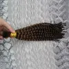 未処理モンゴル変態カーリーバルクヘア 100 グラム 1 個人毛編組用バルク付属品なし 100% 人間のかぎ針編み三つ編みヘアバルクなし横糸