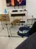 折りたたみ可能なペットプレイペンクレートアイアンフェンス子犬ケンネルハウスエクササイズトレーニング子犬子猫スペースドッグゲート用品rabbit2394552