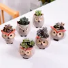 Ceramics Flowerpot Cartoon Owl Mini Thumbs Garden Pot For Home Decoration Succulent Plants Flowerpots Free DHL 519