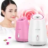 Fruit Groente Gezicht Gezicht Steamer Huishoudelijke SPA Beauty Instrument Spray Water Meter Gezicht Bevochtig Schoonheid Tool