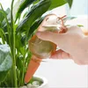 Wholesale Plastic Automatic Watering Bulbs Plant Watering Globe Flower Irrigation Tool, Bird Star Ball Shape Drip watering dispenser