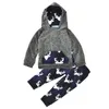 Kläder sätter baby pojkar höst vinterkläder set spädbarn lång ärm tjjockna huva tröja+byxor 2st söt kostym nyfödda kläder