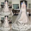 2020最も安い在庫の長いチャペルの長さブライダルベールアップリケ2019 veu de noiva longo wedding veil lace purfle with208v