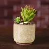 Vaso de flores de cerâmica rachado, vaso de flores colorido fofo para decoração de mesa, vasos de plantas carnudos, mini plantadores