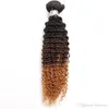 Ombre väv hår människohårbuntar remy lockiga brasilianska jungfruliga hårbuntar med stängningar 9a 1024 tum hårstrån bulk 24 tum bund3543185