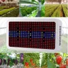 400W / 600W LED-installatie Grow Light Full Spectrum Indoor Plant Lamp Bulb voor Planten Vegt Hydroponics System Grow / Bloom Flowering