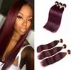 Brazilian Wine Red Silky Straight Human Hair 3 Bundles Burgundy 99J Virgin Hair Extensions Burg Color