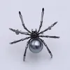 2019 fashion personality exaggerated black spider zircon brooch high-end funny personality female brooch fashion creative pin women