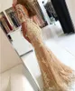 2019 Champagne Tulle Mermaid Prom Dress Sexy Applique Formal Holidays Wear Graduation Evening Party Pageant Gown Custom Made Plus Size