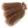 Gouden kleur afro kinky krullend synthetisch haarverlenging 100g / stuks hoge temperatuur haarbundels nieuwe mode weeft haar inslag kinky culry