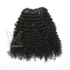 Malezyjski Clip Ins 100% Virgin Human Hair 140g 3A 3B 3C 4A 4B 4C Afro Kinky Curly Clip in Hair Extensions