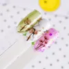 Ny Diy Art Dandels Flower 3D Nail Stickers Nail Art Adhesive Transfer Sticker Decaler Decaler Fresh Summer Flowers and Dandelion Nails Stick