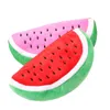 5pcs/lot Newest Practical Big Volume Watermelon Fruit Kids Pen Pencil Bag Case Gift Cosmetics Purse Wallet Holder Pouch School Supplies