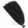 Brazilian Burmese Natural Color Afro Kinky Curly 4B 4C 3B 3C Pre Bonded Keratin Fusion I Tip Raw Remy Virgin Human Hair Extensions