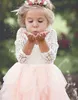 Lovely Flowergril Dresses Puffy Flower Girl Dresses for Weddings V Neck Lace Top Open Back Ivory and Blush Pink Tulle Communion Dress