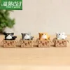 1 stuk cartoon schattige kat in de doos zielige kitty kitten fee tuin mos micro landschap ornamenten hars ambachten decoraties