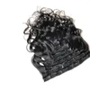 Indian Virgin Hair Clip-in Hair Extensions 120g Body Wave Clips 8 pieces/set Natural Color 8-24inch Wholesale 120Gram