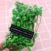 1 백 리얼 DIY 스크랩북 카드는 미술 공예 장식을 만들기위한 말린 꽃 컬러 크리스탈 잔디 꽃 식물 장식이 프레스드