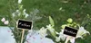 300pcs متينة مصغرة الطباشير خشبي الإبداع علامات السوداء علامات حديقة الزهور والنباتات علامات المنزل ديكورات 1127020