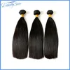 obearbetade super dubbel ritade malaysiska raka jungfruliga hårbuntar 3st 300g Lot 100 Remy Human Hair Bundles Weaves Natural CO5155300