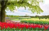 Carta da parati 3D foto carta da parati personalizzata 3d carta da parati Weimei Park Foresta Big Tree Tulip Flower Sea Living Room TV sfondo muro