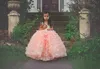Blush Pink Dollcake D Floral Lace Flower Girl Dresses for Wedding Party Puffy Chapel Train Train Child First Complely Dress Weing Chil