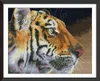 タイガープロフィールホームDIYの装飾キット、手作りクロスステッチクラフトツール刺繍針仕事セットカンバスDMC 14ct / 11ct