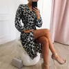 Leopard Dress 2020女性ビンテージロングビーチドレス緩い長袖VネックAラインセクシーパーティードレスVestidos de Fiesta