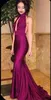 2019 Sexy Purple Long Evening Jurk Mermaid Halter -jurken Sexy High Neck Backless Ruched Party Jurken Prom Formal Jurken Sweep Train