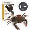 Trådlös infraröd fjärrkontroll Crab Electric Kid Toy, RC Djur, Prank Joke Trickery, Creative Christmas Birthday Boy Gift, 2-1