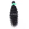 Peruvian Water Wave Curly Hair Weave Obehandlat Peruvian Virgin VMae Hårbuntar 100% brasilianska naturvåg Mänskliga hårförlängningar OPP