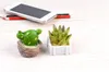 Craft Mini Simulatie Hars Succulents Modellen Tuin Miniaturen Potplanten Ornament Home Decor