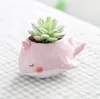 Creative Whale flower pots Zakka gardening garden party tabletop potted Flowers pot of marine life seriesresin flowerpot