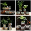 Pot de fleurs en céramique créatif Style chinois Grands pots de bonsaï d'asperges Plantes GE Pots Succulentes Sable violet Grès rétro 8 février Finis