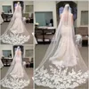 Bridal Wedding Veil with Appliques Edge Tulle Long Cathedral Wedding Veil Bridal Veil with Comb veu de noiva 5478103