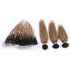 Dunkle Wurzel # 1B / 27 Honigblond Ombre Indische Jungfrau-Menschenhaar-Webart-Bündel mit hellbraunem Ombre 13x4 Lace Frontal Closure 4Pcs Lot