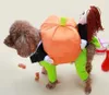 Divertido Teddy Poodle mascota perro levanta calabaza transformar disfraz villano sosteniendo calabaza santa claus ropa mascota transformación traje traje