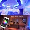 Bande lumineuse LED Bluetooth contrôle RGB 110220V SMD 5050 60 LEDsm bandes lumineuses à corde étanche fonctionnent avec iOS Android Music Ti5964112