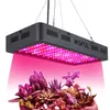 1000w LED crescer luz espectro completo 1200w, chips duplos que crescem plantas interiores crescem luzes para vegetais hidropônicos e flor