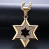 Hip Hop Bling Iced Out Strass Gold Edelstahl Jüdischer Davidstern Hexagramm Anhänger Halskette für Männer Rapper Schmuck