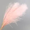 10pcs na działkę sztuczny trzcinowy suszony kwiat bukiet ślub Dekora