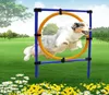 De nieuwste driedelige hondentraining benodigdheden agile apparatuur huisdier outdoor training apparatuur enkele pole jump jump ring rond de stapel