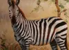 Wysokiej Jakości 100% Robić Nowoczesne Abstrakcyjne obrazy olejne na płótnie Obrazy Zwierząt Zebra Home Decor Art AM-68-8-2