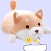 ANIME SHIBA INU CHIEN Coussin d'oreiller en peluche doux animal poupée poupée poupée peluche cadeau