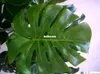 タートルの葉の植物人工木の植物自宅の装飾屋内植物13の葉/ PCの送料無料