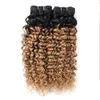 1b 27 Ombre Honey Blonde Peruviaanse Watergolf Krullend Haar Weave Bundels Twee Tone 1 Bundels 10-24 Inch Braziliaanse Maleisische menselijke haarverlenging