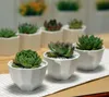 100pcs Simple white fleshy small ceramic polygon stitching wide mouth matte flower pot